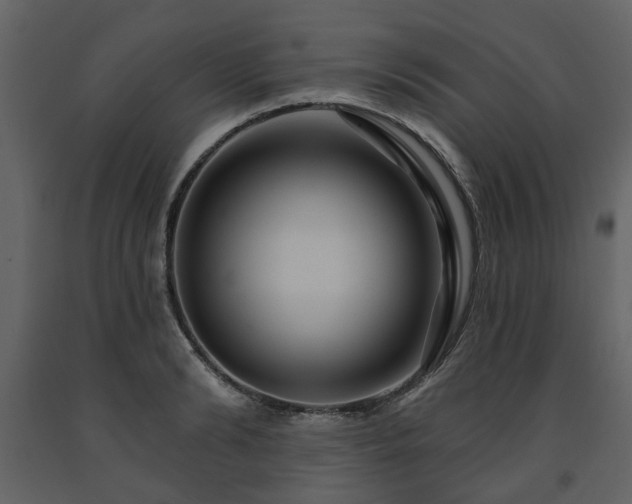 X0000091640894200708231156