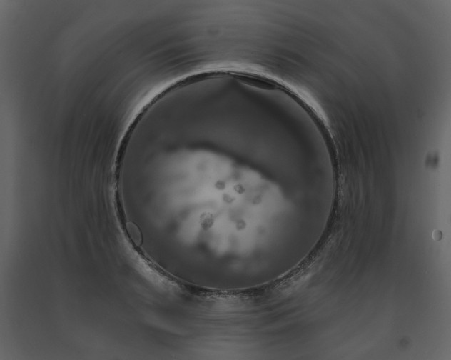 X0000091640895200708231156