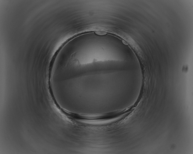X0000091640896200708231156