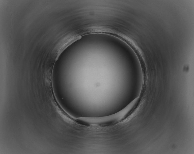 X0000091640897200708231156