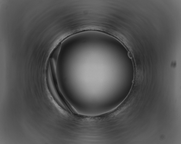 X0000091640898200708231156