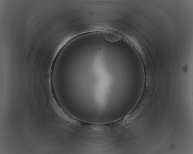 X0000091640899200708231156
