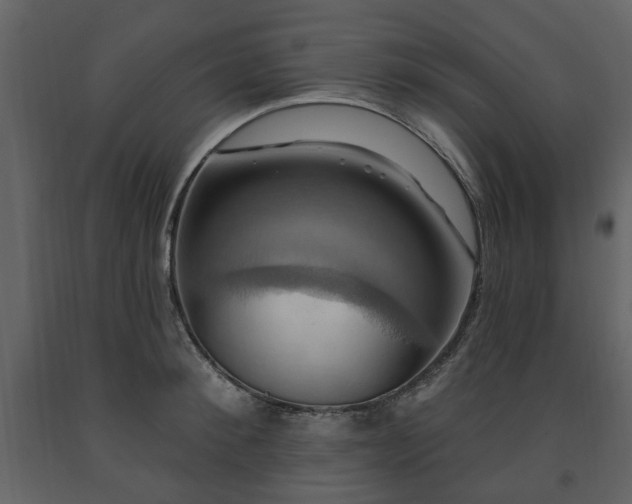 X0000091640900200708231156