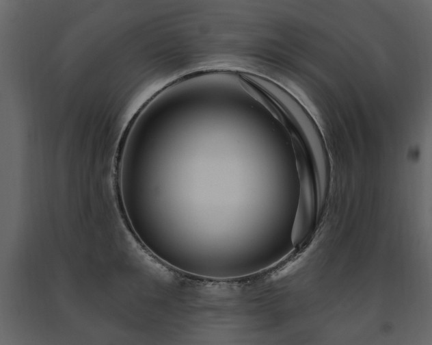 X0000091640901200708231156