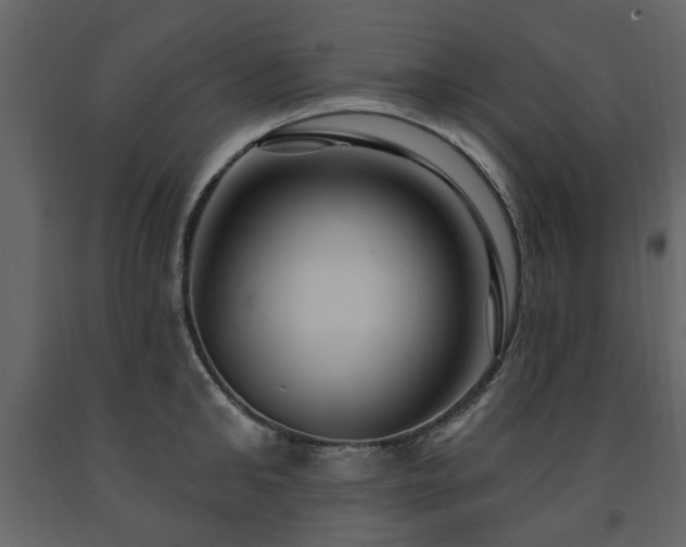 X0000091640902200708231156