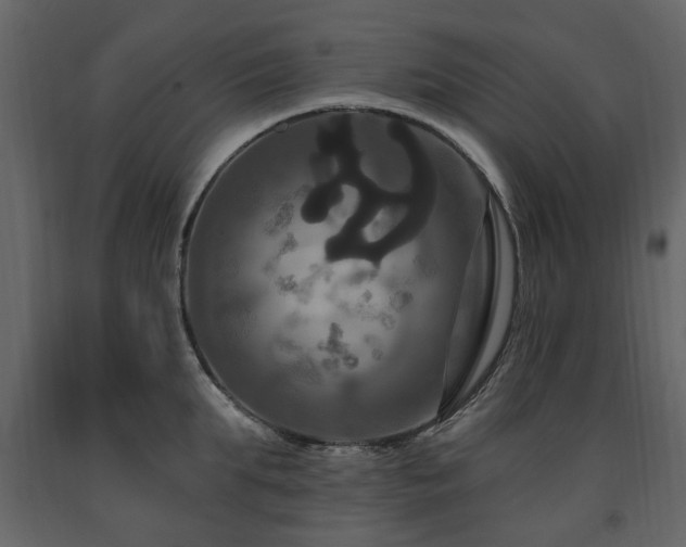 X0000091640903200708231156