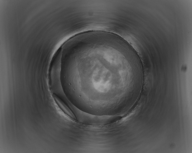 X0000091640904200708231156