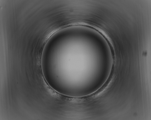 X0000091640905200708231156