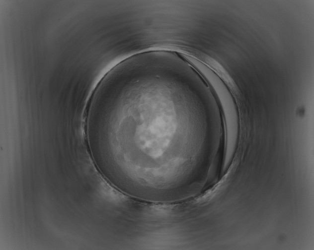 X0000091640908200708231156