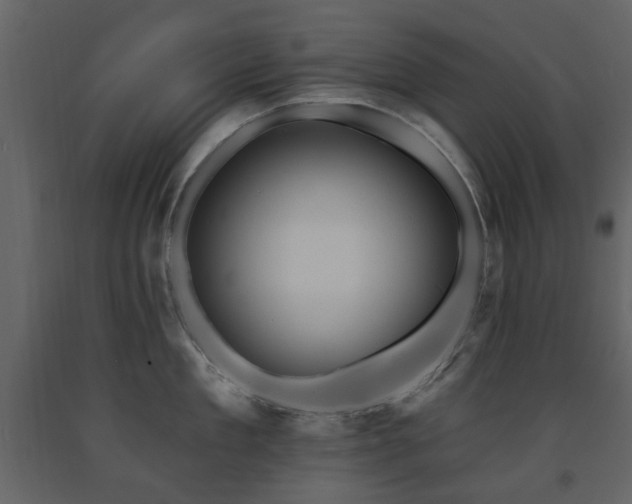 X0000091640909200708231156