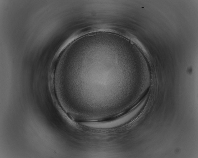 X0000091640910200708231156