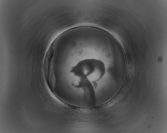 X0000091640911200708231155