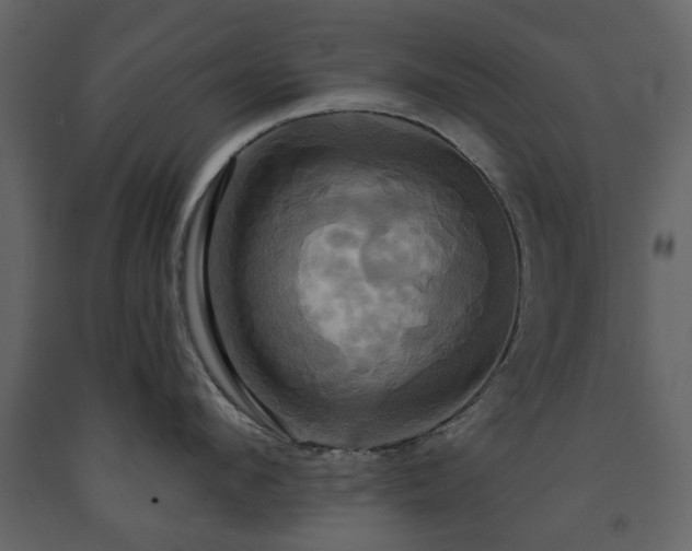 X0000091640912200708231155