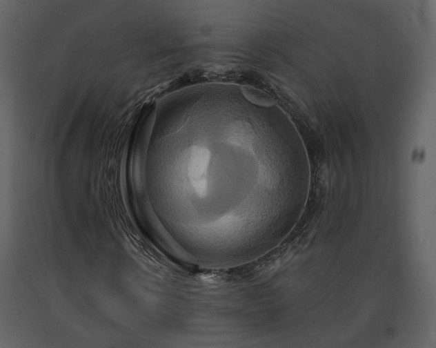 X0000091640914200708231155
