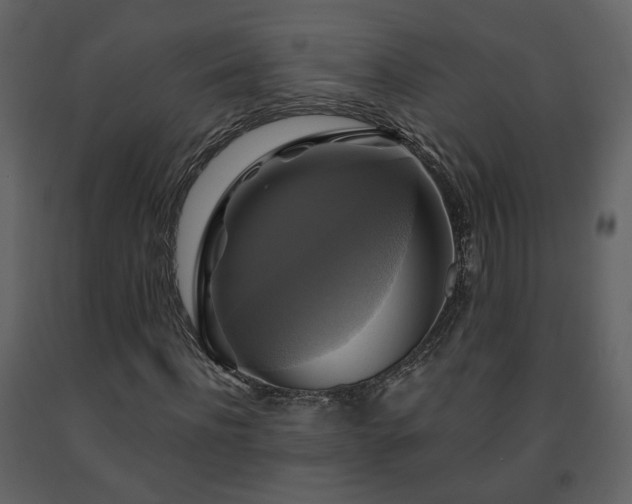 X0000091640916200708231155