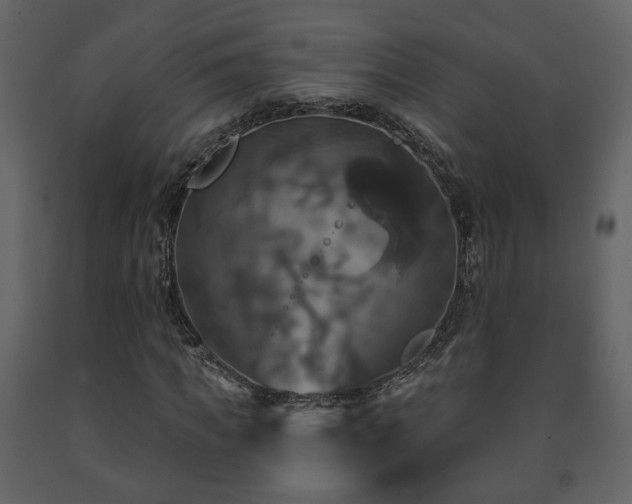 X0000091640917200708231155