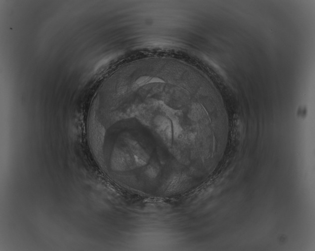 X0000091640918200708231155