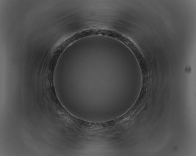 X0000091640919200708231155