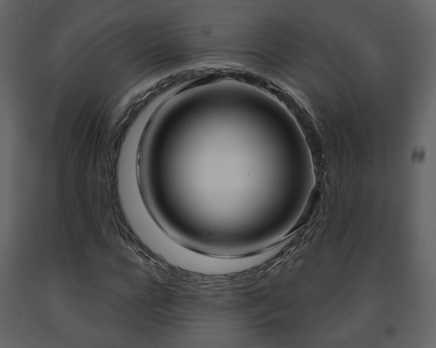 X0000091640920200708231155