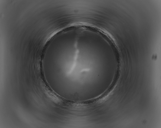 X0000091640921200708231155