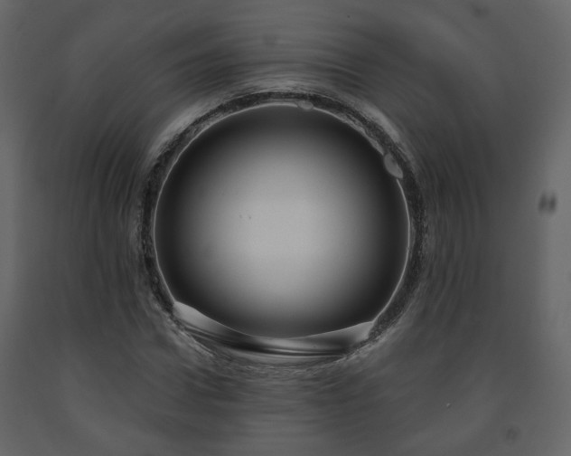 X0000091640922200708231155