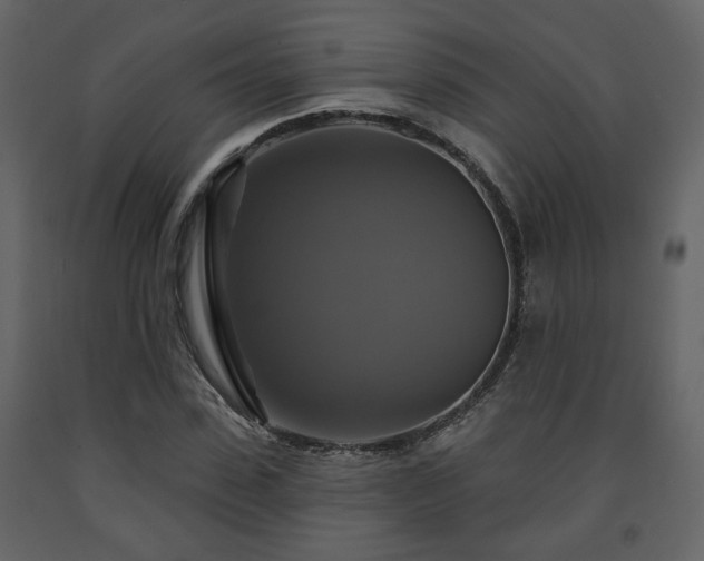 X0000091640923200708231155