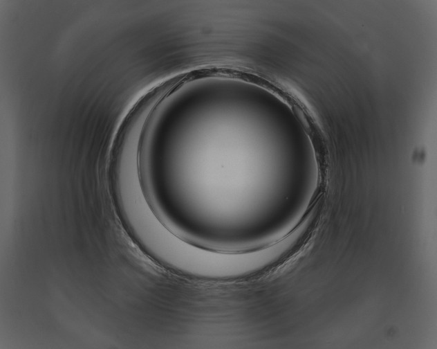 X0000091640924200708231155