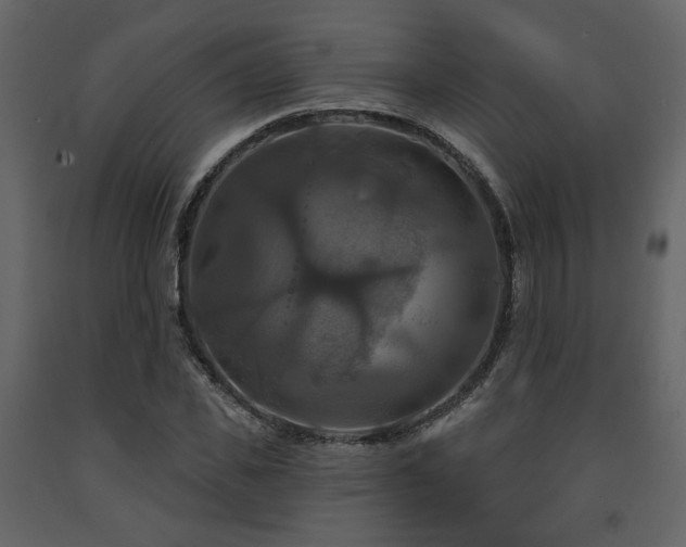 X0000091640925200708231155