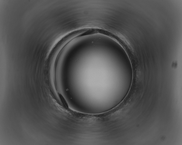 X0000091640926200708231155