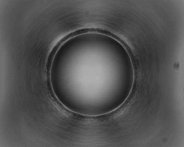 X0000091640927200708231155