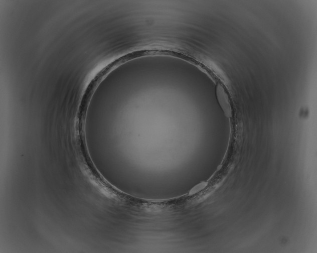 X0000091640928200708231155