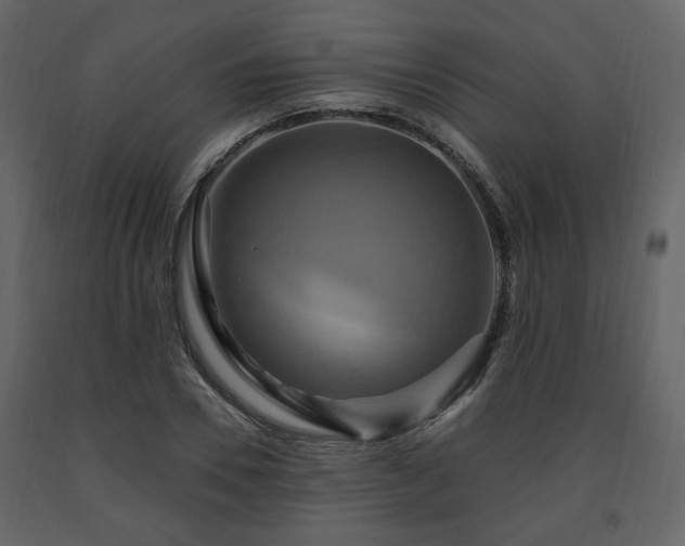 X0000091640930200708231155