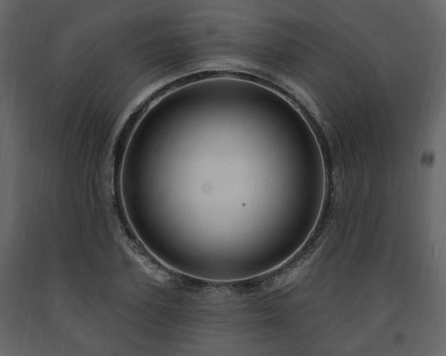 X0000091640931200708231155