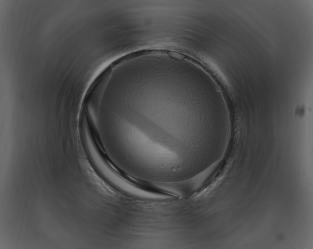 X0000091640932200708231155