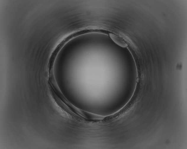 X0000091640934200708231155