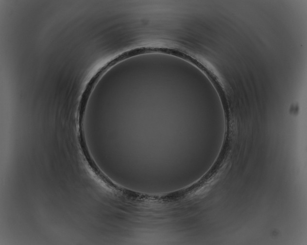 X0000091640935200708231155