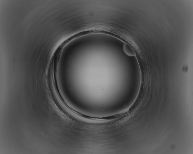X0000091640936200708231155