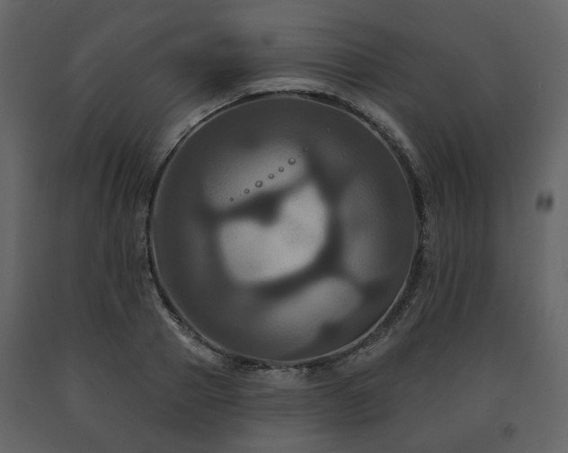 X0000091640937200708231155