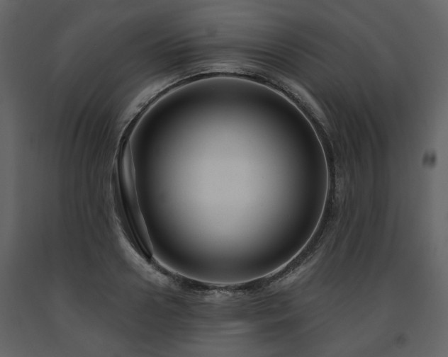 X0000091640938200708231155