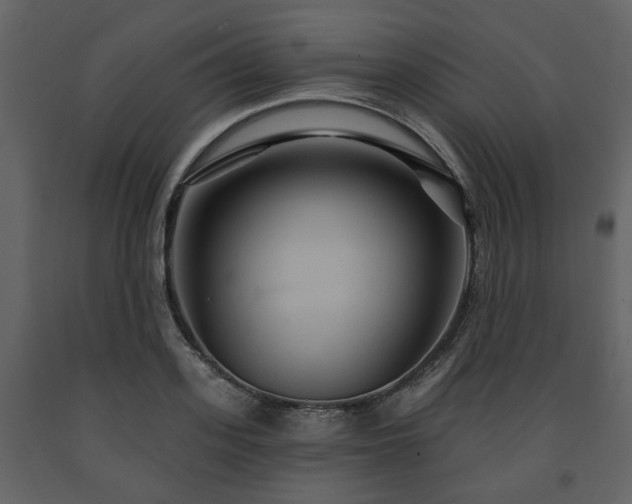 X0000091640939200708231155