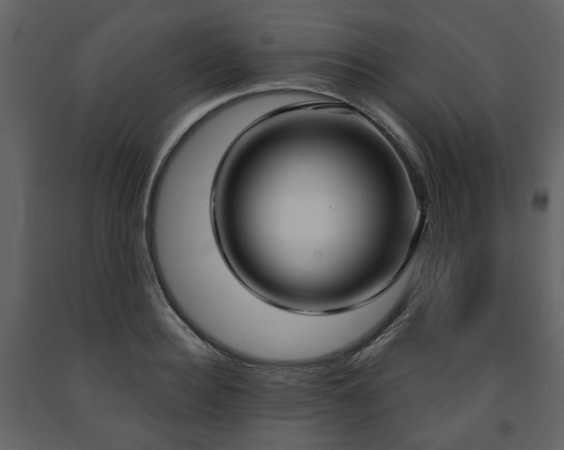 X0000091640940200708231155