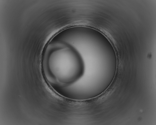 X0000091640941200708231155