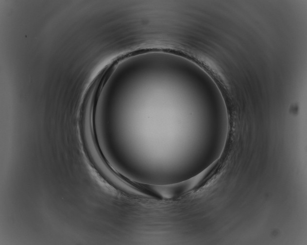 X0000091640942200708231155