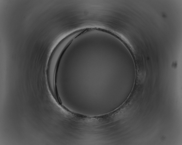 X0000091640943200708231155