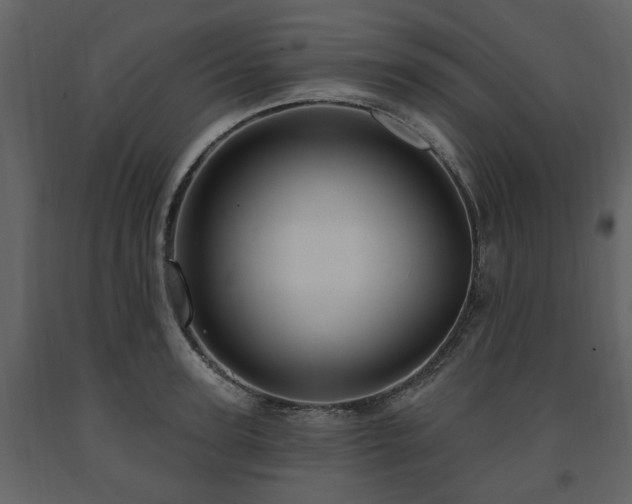 X0000091640947200708231155