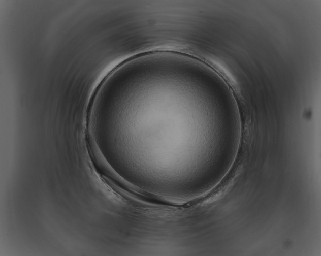X0000091640948200708231155