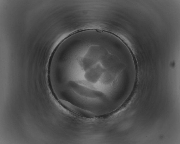 X0000091640949200708231155