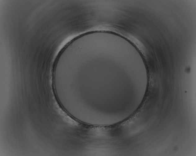 X0000091640950200708231155