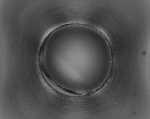 X0000091640952200708231155