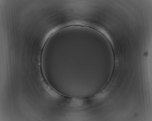 X0000091640954200708231155